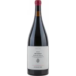 Morei Teroldego Vigneti delle Dolomiti IGT Foradori MAGNUM 2016 BIO