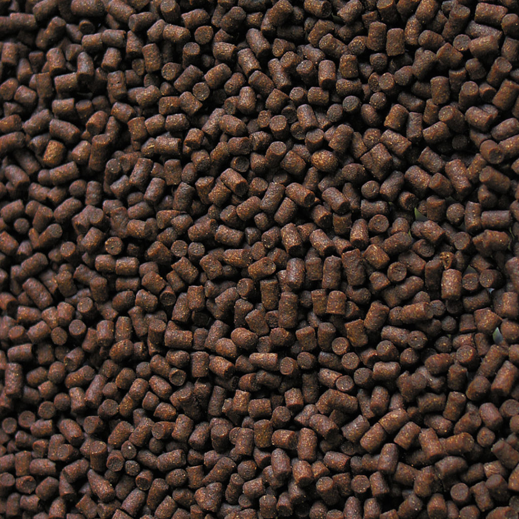 3,8 litri 2 kg sera Pond Sterlet Pellets Nature Alimento Mangime Completo Affondante per Piccoli Storioni da laghetto