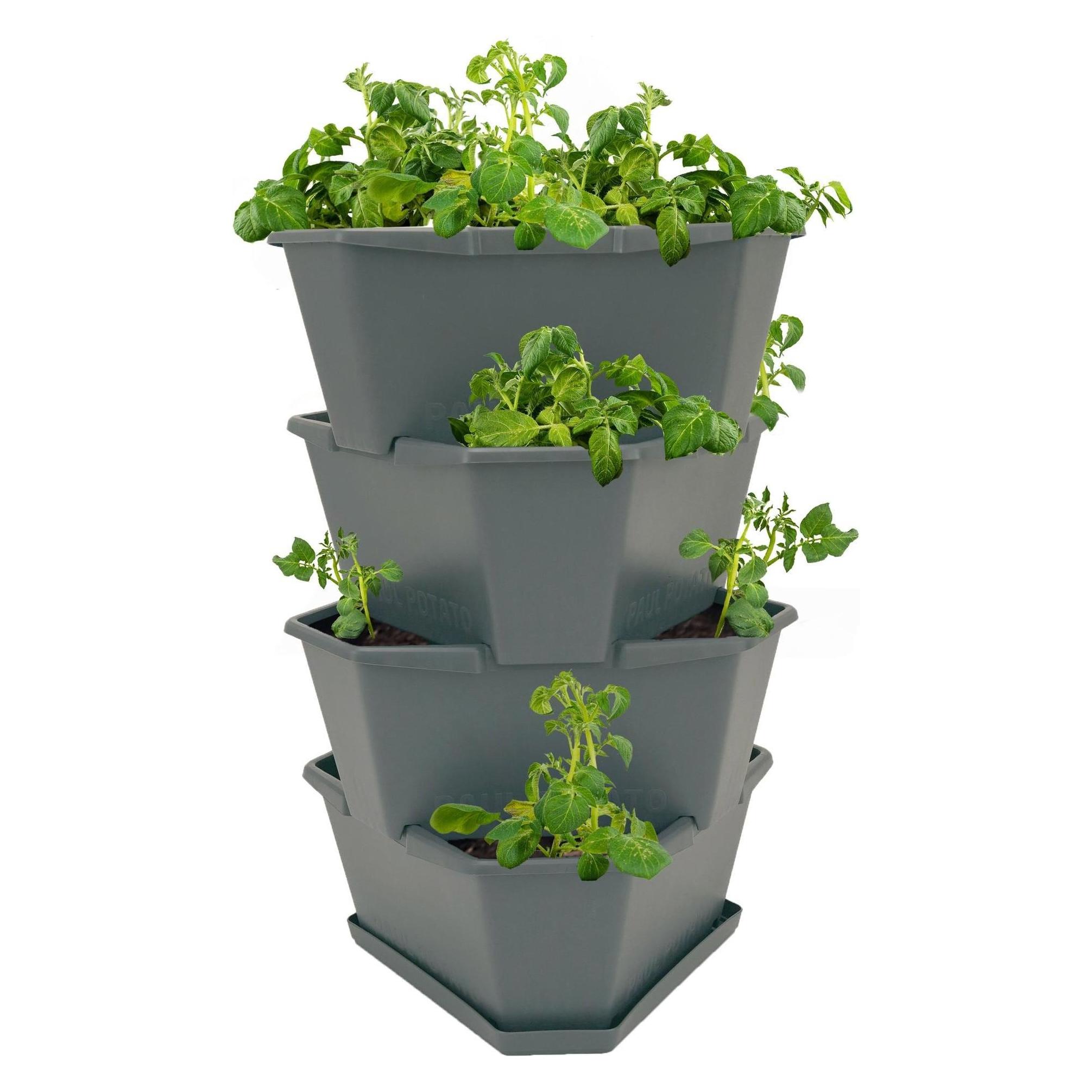 Gusta Garden Paul Potato (38.80 x 44 x 65 cm) (100341)