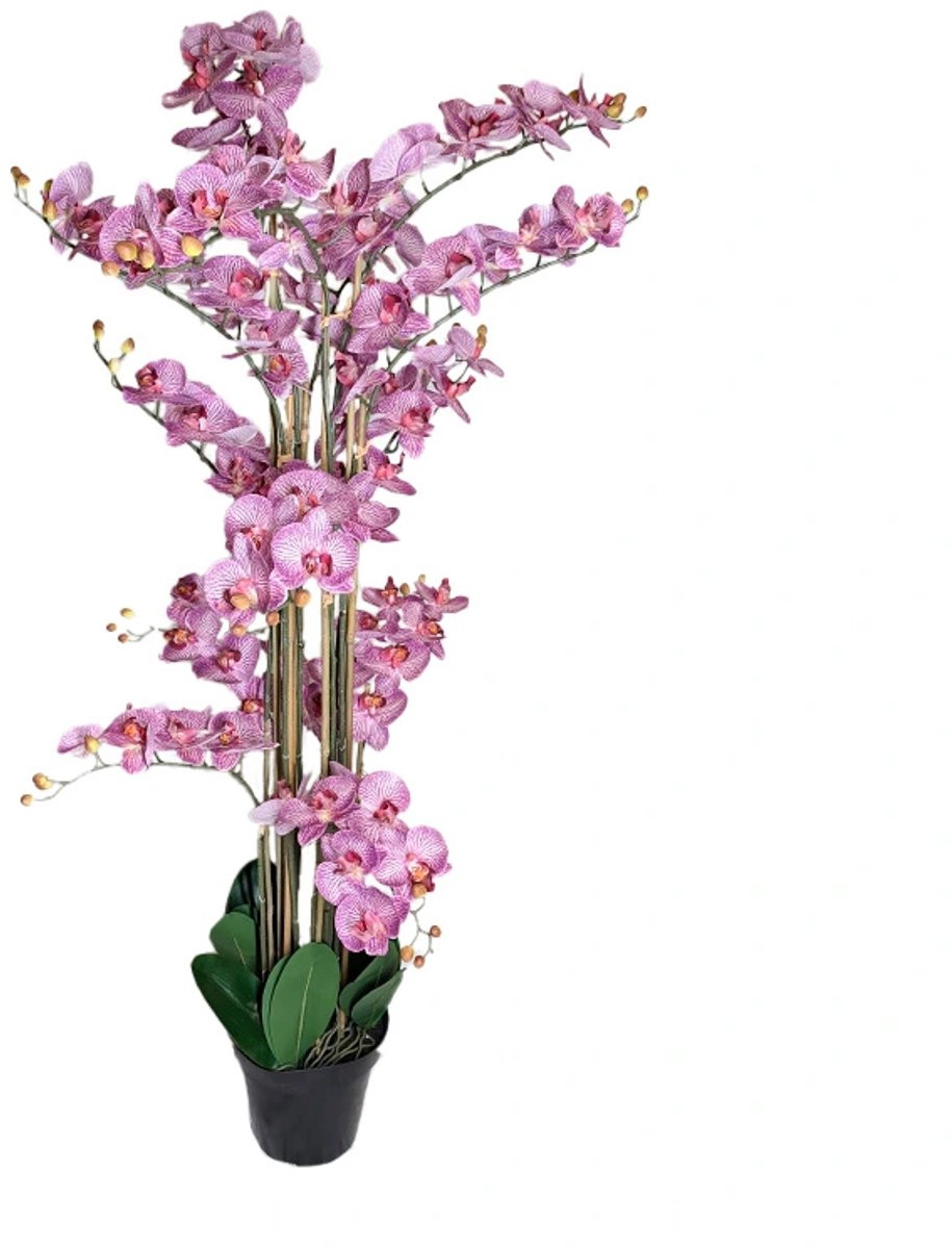 Kunst Phalaenopsis Orchidee in Pot Tiger Cerise - 140 cm