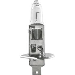Grothe DSZ 7381 Signalgeber Leuchtmittel Passend für Serie (Signaltechnik) Grothe DSL 730x, Grothe DSL 732x 37381