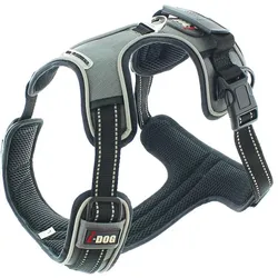 i-DOG Style (L, Hund, Hundesport), Halsband + Leine