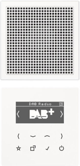 Jung Smart Radio DAB+ Set Mono DABLS1WW blanc (DABLS1WW)