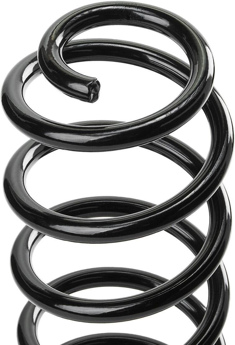 RIDEX 188C1282 Coil spring