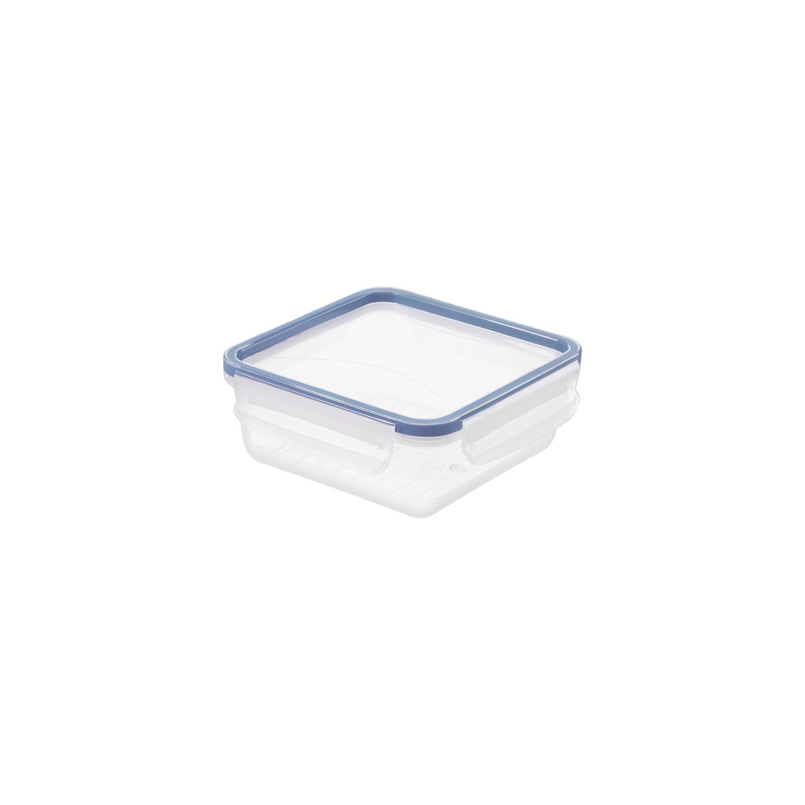 Rotho Opbergdoos Vierkant Blauw Transparant 0,8 liter 161 mm