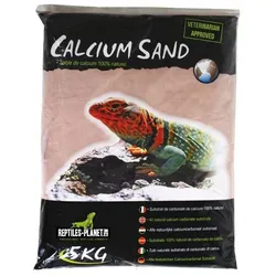 Reptiles-Planet Kalahari, Terrariumeinrichtung