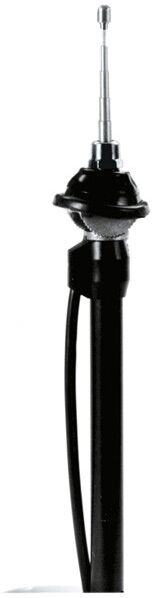 CARPOINT 2010016 Antenne