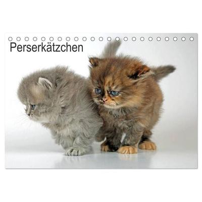 Perserkätzchen / CH-Version (Tischkalender 2027 DIN A5 quer), CALVENDO Monatskalender