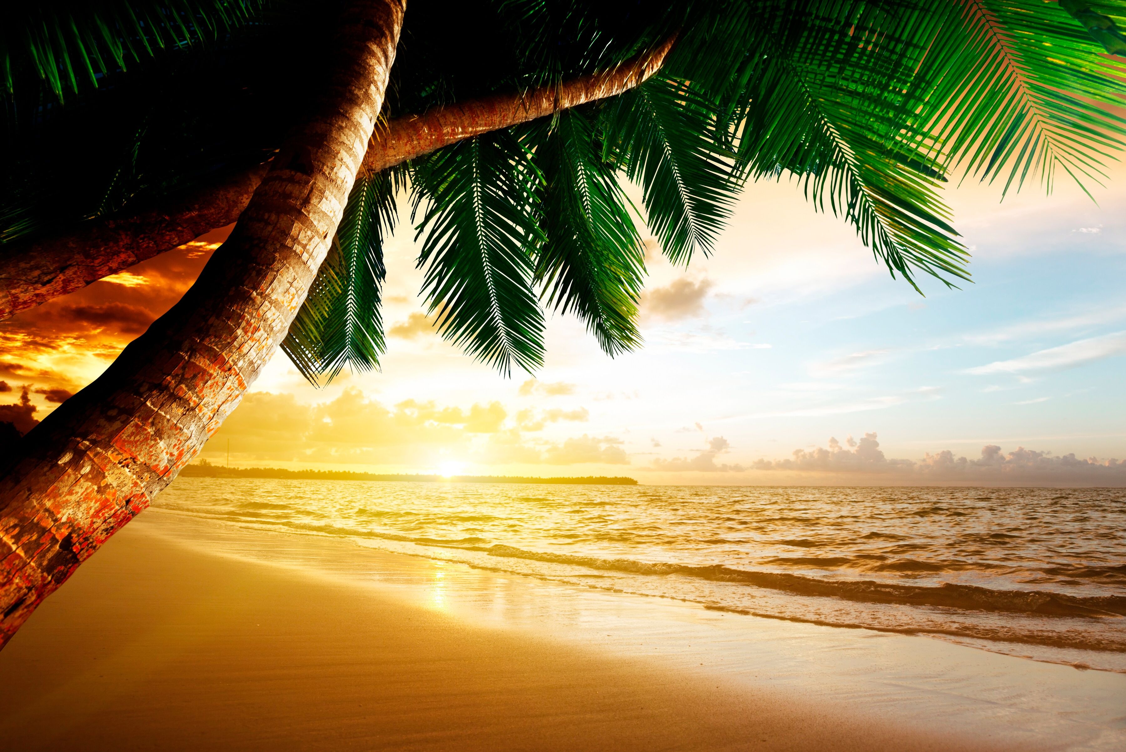Fototapete PAPERMOON "Caribbean Beach Sunrise", bunt, B:2,5m L:1,86m, Vlies, Tapeten, Fototapete bunt B/L: 2,5m x 1,86m, Bahnen: 5 Stk.