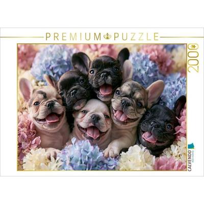 CALVENDO Puzzle Kleine Glückspfoten | 2000 Teile Lege-Größe 90 × 67 cm Foto-Puzzle für glückliche Stunden, von , Calvendo Puzzle