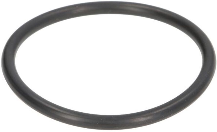 Dichtung O-Ring für Wagenheberzylinder EVERT ZL207101027