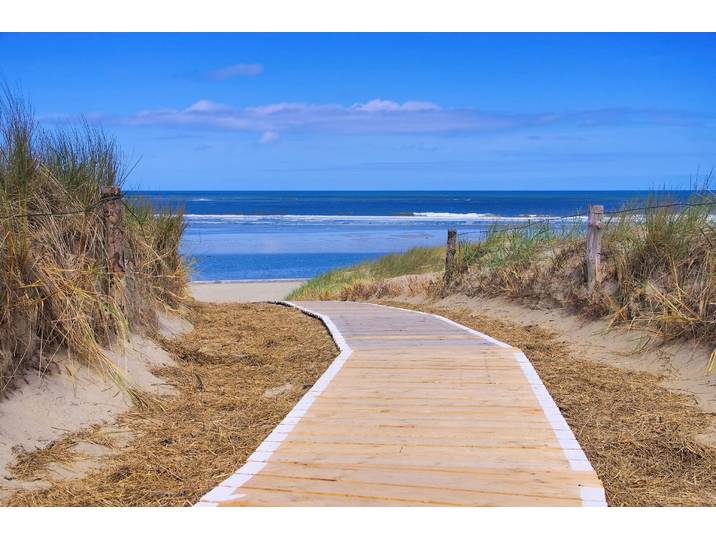 Fototapete PAPERMOON Langeoog Dunes , bunt, B:3m L:2,23m, Vlies, Tapeten, Fototapete
