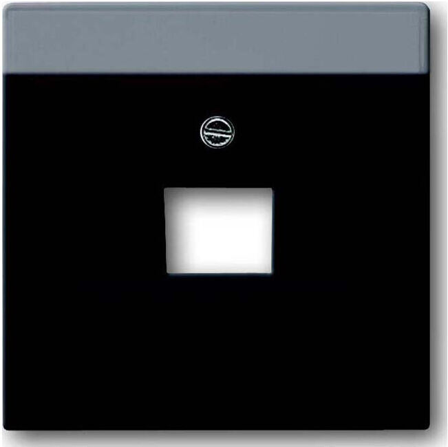 Busch-Jaeger Rosace centrale anthracite pour boîte de connexion UAE 1f 1803-81 (2CKA001710A3616)