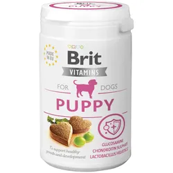 Brit Vitamins Hund Welpe 150g