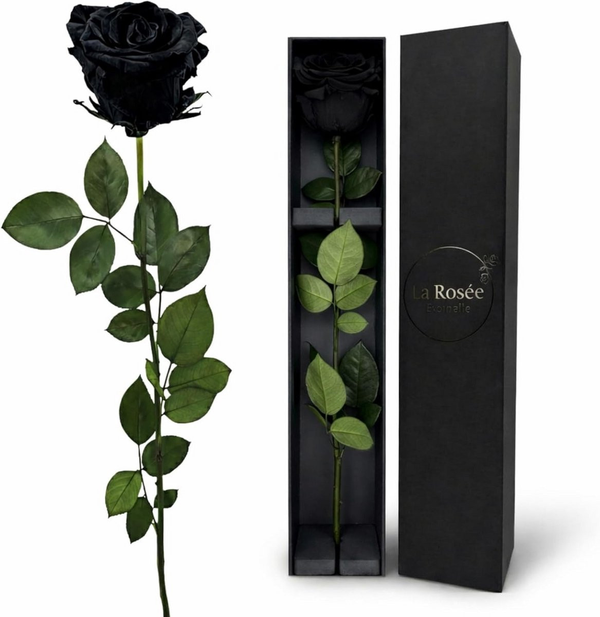 Eeuwige Roos Geconserveerde Bloem Zwart - 48 cm