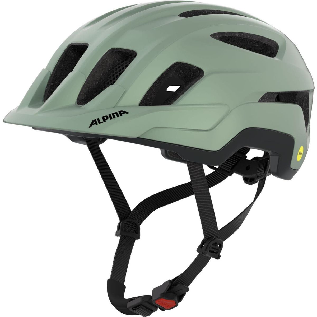 Alpina Paranus Mips willow-green matt (21) 52-56 A9803121