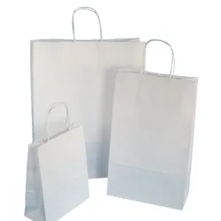 Pack4Food24 300 Premium Papiertragetaschen Papiertüten 18+8x22cm mit Kordelgriff weiß 90g/m2