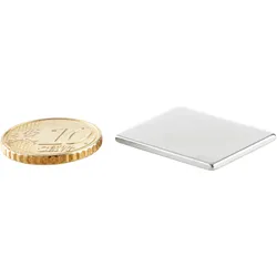 10 Quadermagnete aus Neodym, vernickelt 25 x 19 mm | 1,5 mm, silber