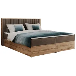 BOXBETT ALBERO 4 - 200/200 Braun Velvet - H4