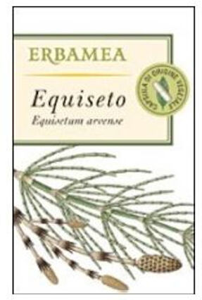 Erbamea Equiseto Fusti Sterili Polvere 1kg