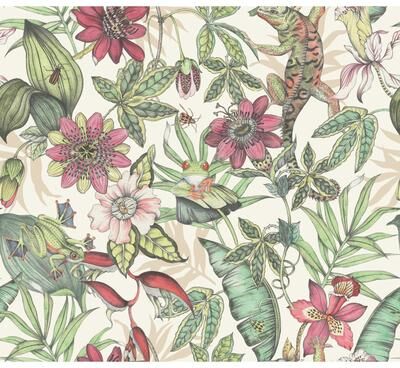 York Wallcoverings Rainforest Multicolor Wallpaper