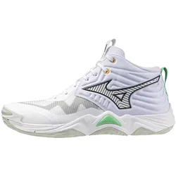 Mizuno, Volleybälle