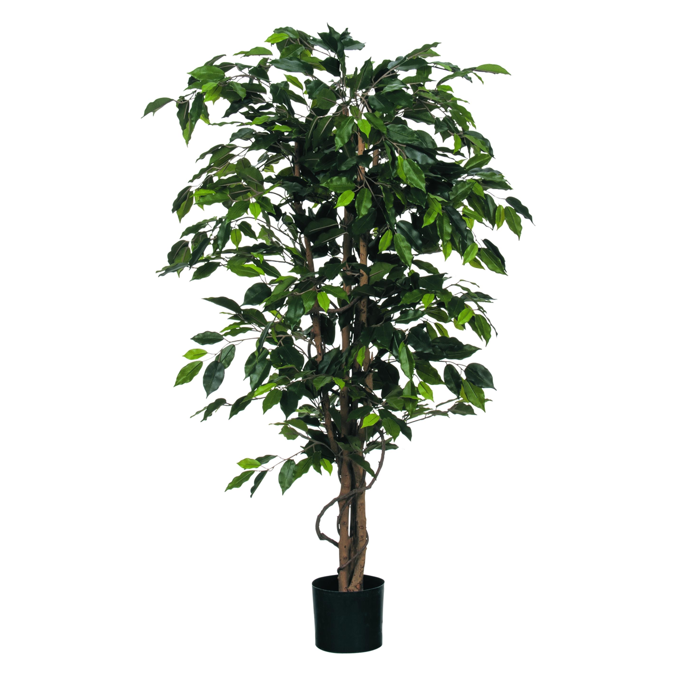 ReinigungsBerater Künstliche Pflanze Ficus Benjamina 150cm Grün ohne Übertopf (150 cm) (980152)