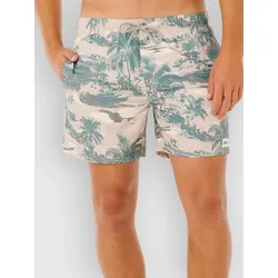 Rip Curl Dreamers Volley Boardshorts fatigue Gr. XL