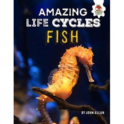 Amazing Life Cycles- Fish, Taschenbuch von John Allan, Hungry Tomato Ltd, 978-1-913077-03-7