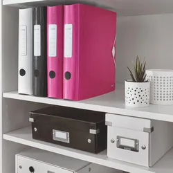 LEITZ Qualitäts-Ordner 180° Active DIN A4, 6,5 cm pink