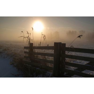 Fototapete PAPERMOON "Photo-Art Wiese mit Gatter", bunt, B:5m L:2,8m, Vlies, Tapeten