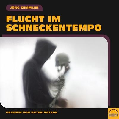 Flucht im Schneckentempo - Jörg Zemmler, Audio, 9783991571001