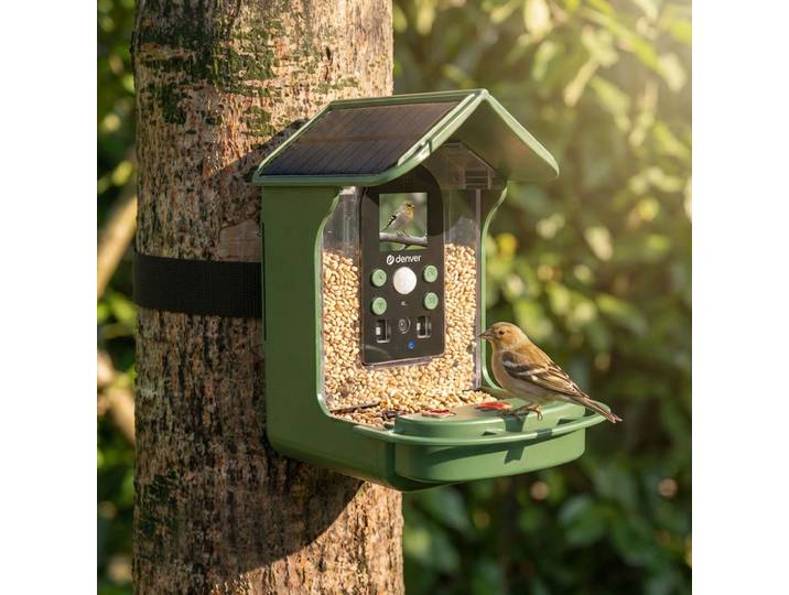 Vogel-Futterhaus mit Kamera und Solarpanel