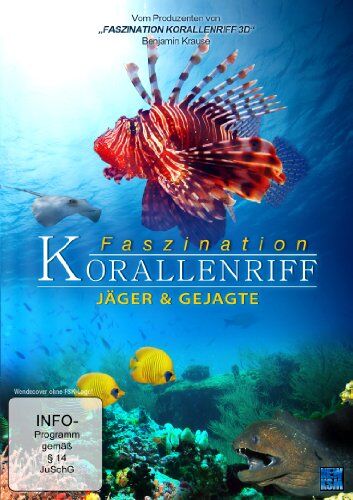 Faszination Korallenriff - Jäger & Gejagte - Preis vom 10.10.2026 11:48:34 h