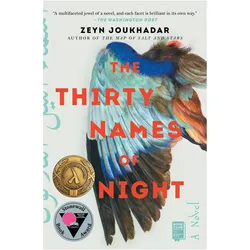 The Thirty Names of Night, Belletristik von Zeyn Joukhadar