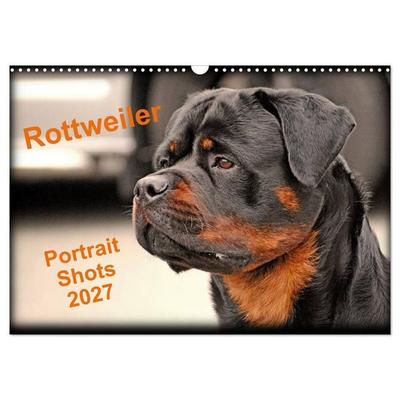 Rottweiler Portait Shots 2027 (Wall Calendar 2027 DIN A3 landscape), CALVENDO 12 Month Wall Calendar