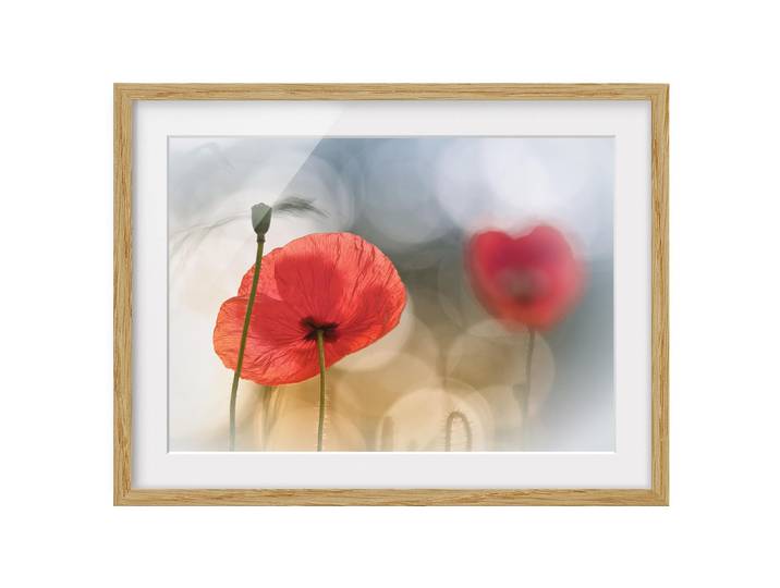 Tableau déco coquelicots le matin IV Chêne massif naturel Rouge 100 x 70cm