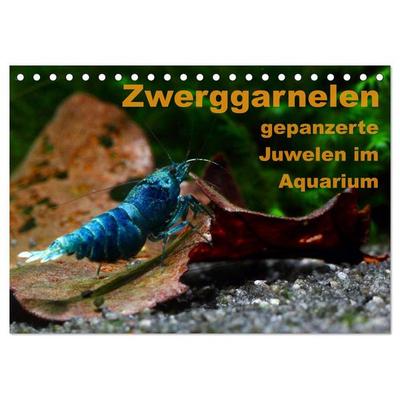 Zwerggarnelen - gepanzerte Juwelen im Aquarium (Tischkalender 2026 DIN A5 quer), CALVENDO Monatskalender