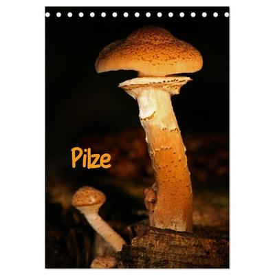 Pilze (Tischkalender 2027 DIN A5 hoch), CALVENDO Monatskalender