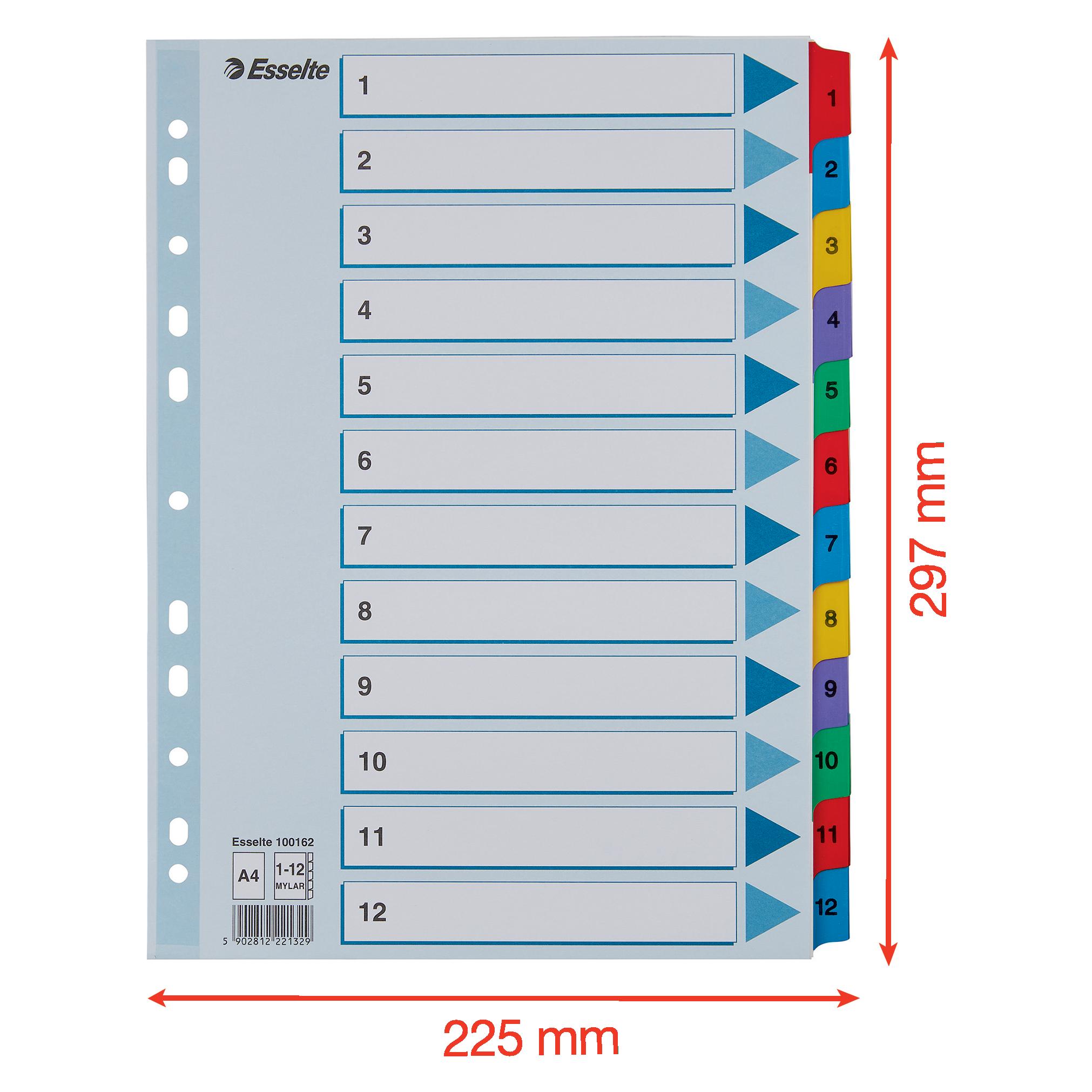 Esselte Mylar (100162)