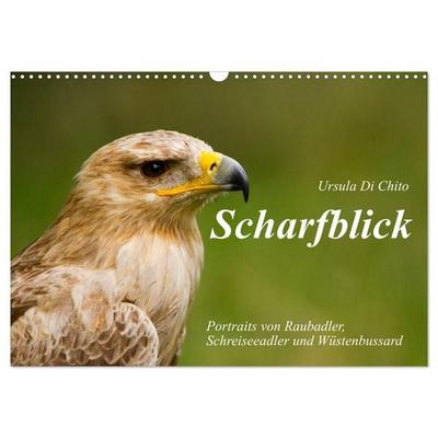 Scharfblick (Wandkalender 2027 DIN A3 quer), CALVENDO Monatskalender