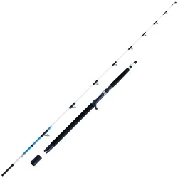 WFT Sen Sea 25lbs 2,10m 30-300g Norwegenrute