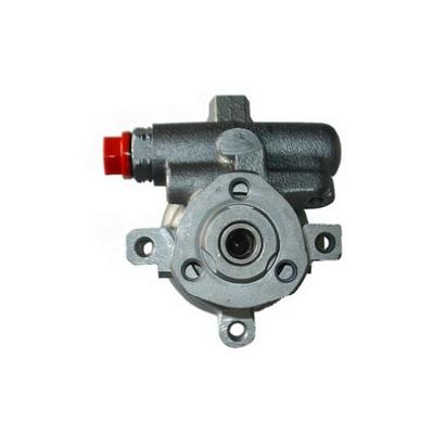 SPIDAN Hydraulikpumpe, Lenkung 53530 für VW