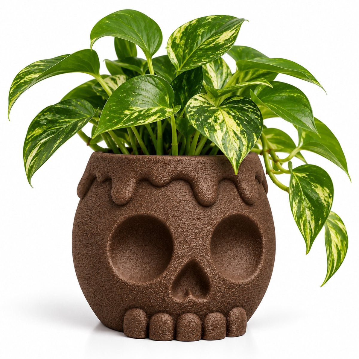 Schedel Bloempot Bruin – Skull Plantenpot Ø 8,5 cm – Halloween Decoratie voor Kleine Kamerplanten en Vetplanten
