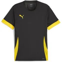 Puma, Herren, Sportshirt, teamGOAL (XS), Schwarz