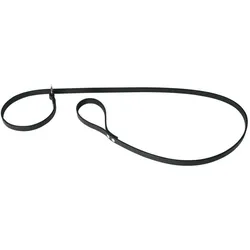 Martin Sellier Halsband für Hunde (One Size, Hund, Spazieren), Halsband + Leine