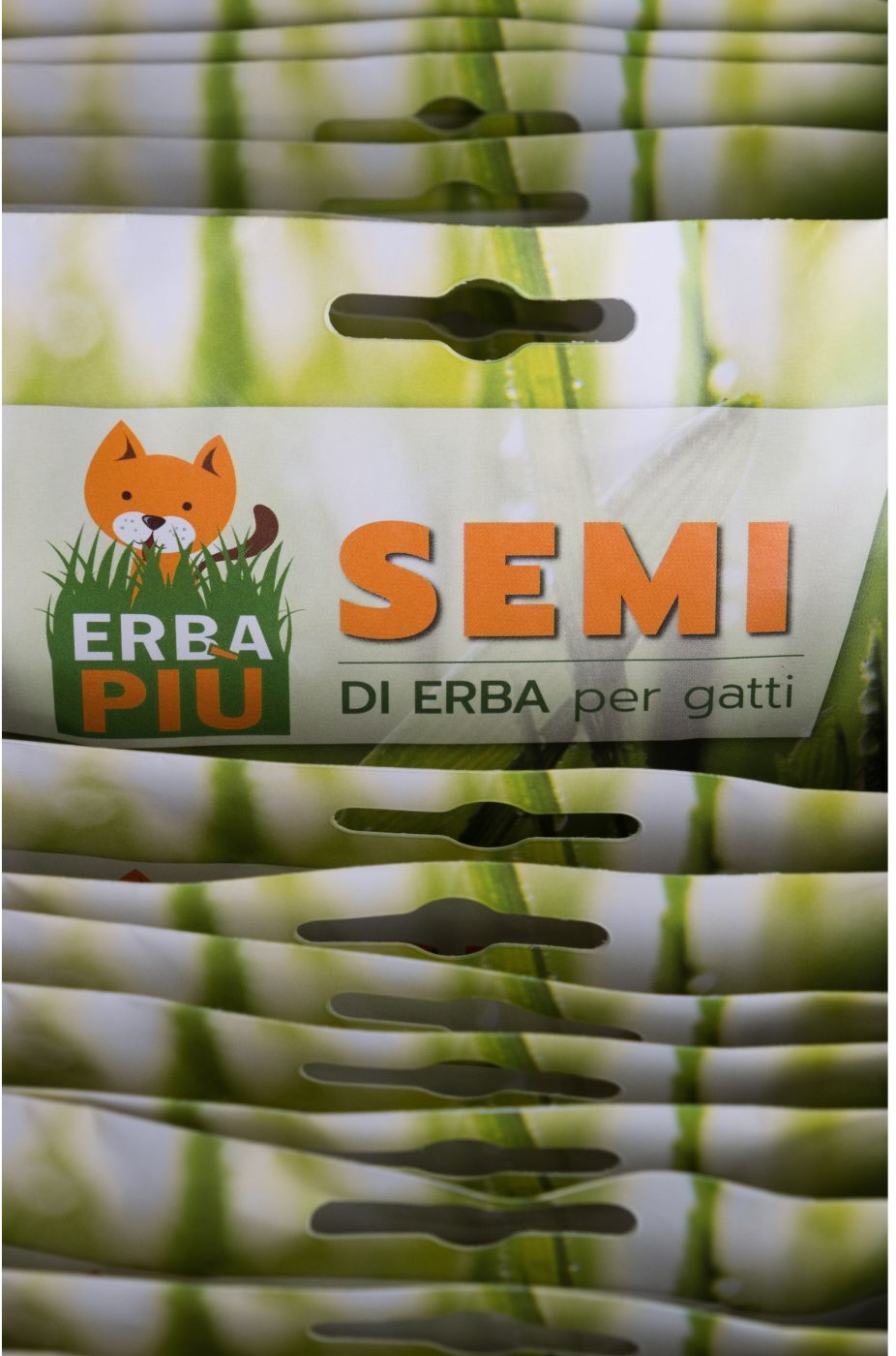 Erba Più Erba Piu' Erba Gatta Bustine di Semi di Erba per Gatti