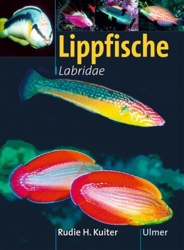 Kuiter, Rudie H. - Lippfische - Familie Labridae. Marine Fischfamilien - Preis vom 11.10.2026 15:43:13 h