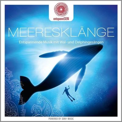 entspanntSEIN - Meeresklänge (Entspannende Musik m - Davy Jones, CD