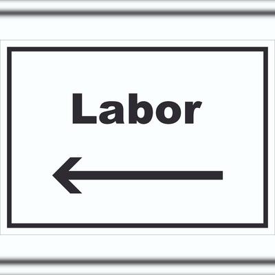 HB-Druck Labor Schild mit Text und Richtungspfeil links untersuchen forschen waagerecht A1 (594x841mm)
